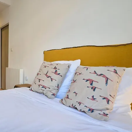 Vieux-lille Equipped With Parking *