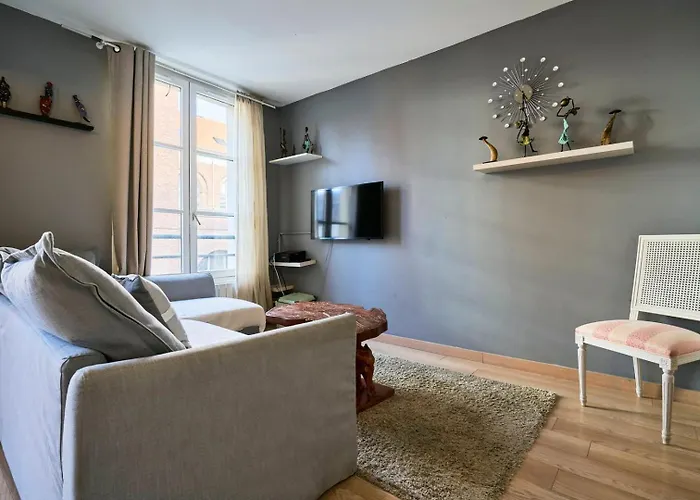 Vieux-lille Equipped With Parking Daire